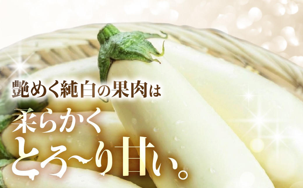 とろ～り甘い。純白のなす