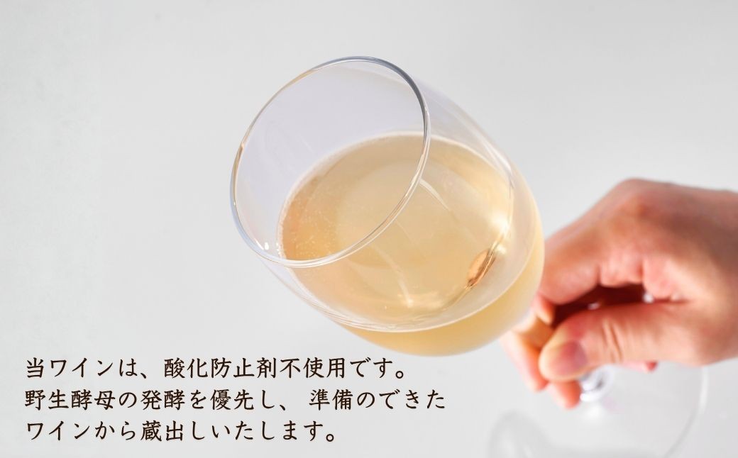 新潟産弥彦ブリューイング白泡2024年(果実酒:発泡性)750ml