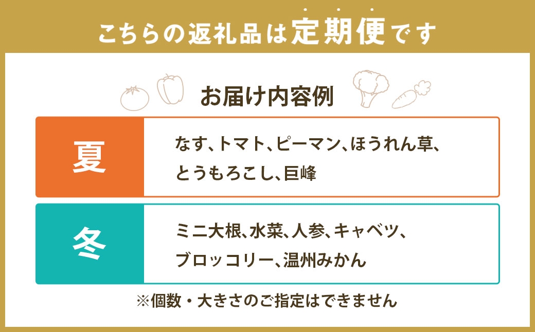 定番の野菜フルーツセット