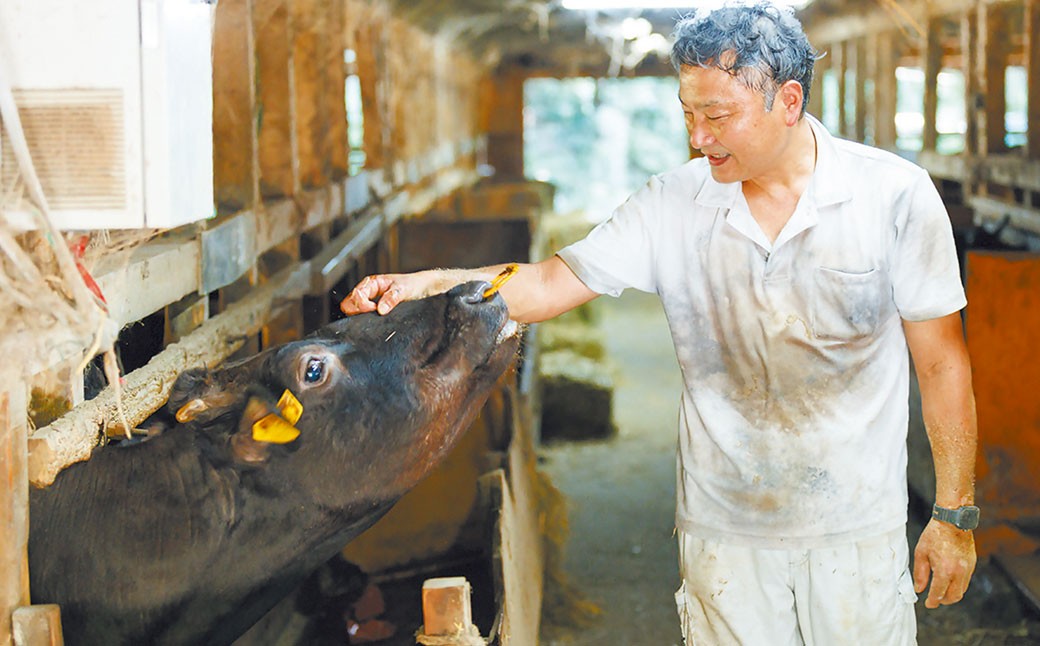 武藤牧場直売店山嘉【黒毛和牛】山嘉牛 すきやき 500g
