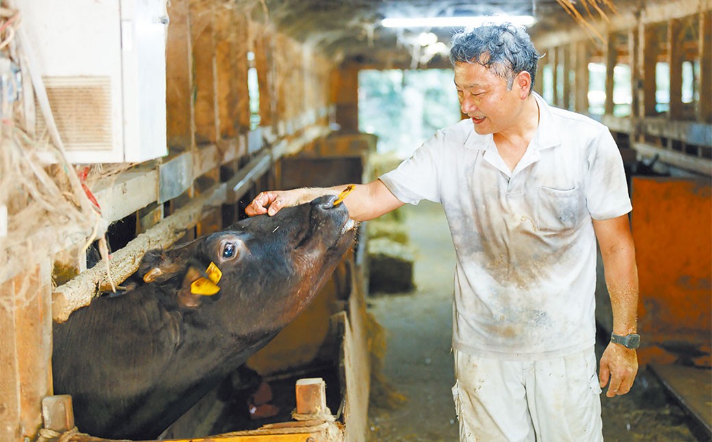 武藤牧場直売店山嘉【黒毛和牛】山嘉牛 すきやき 710g