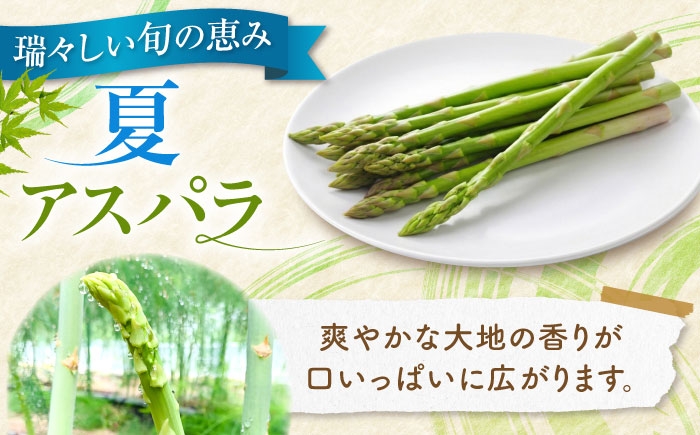 アスパラ グリーンアスパラ アスパラガス 北海道 春野菜 あすぱら あすぱらがす 野菜 季節の野菜 北海道産 道産 冷蔵