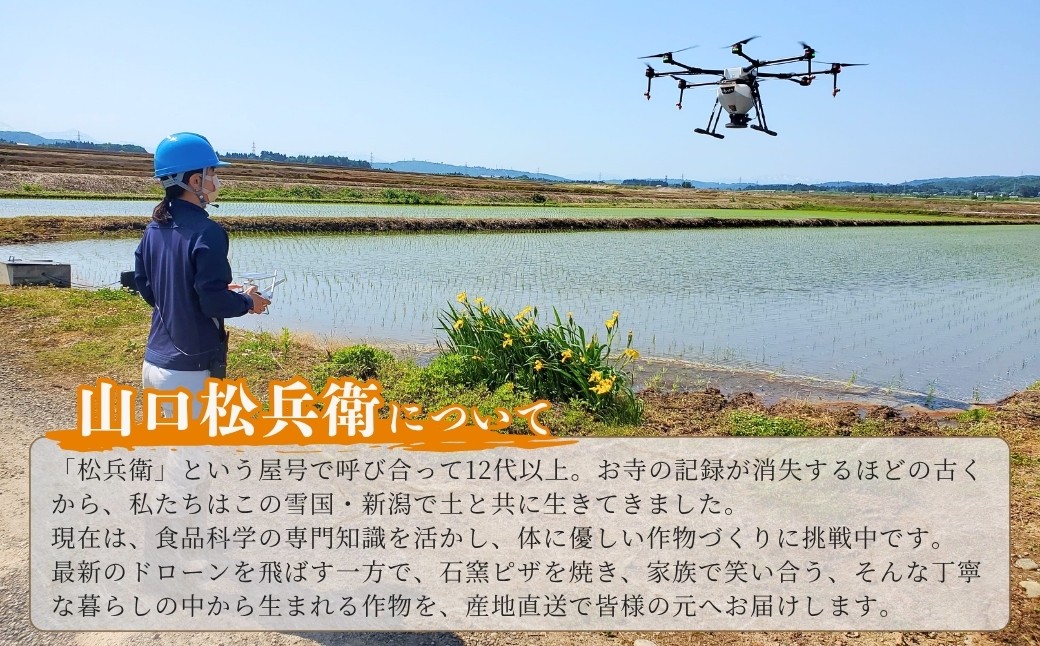 魚沼産ブランドの規定よりも贅沢で大粒をよりすぐり 山口松兵衛農園のコシヒカリ