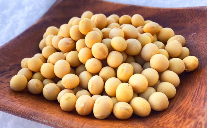 大豆 だいず ダイズ ユキホマレ 乾燥大豆 豆 まめ 手作り味噌 煮豆 節分