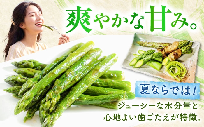 アスパラ グリーンアスパラ アスパラガス 北海道 春野菜 あすぱら あすぱらがす 野菜 季節の野菜 北海道産 道産 冷蔵