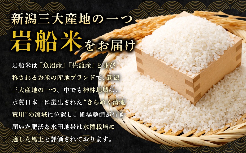 【令和7年産米】新潟県村上市岩船産「コシヒカリ」5㎏と「こしいぶき」5㎏の食べ比べセット（神林産地）合計10kg　B4084
