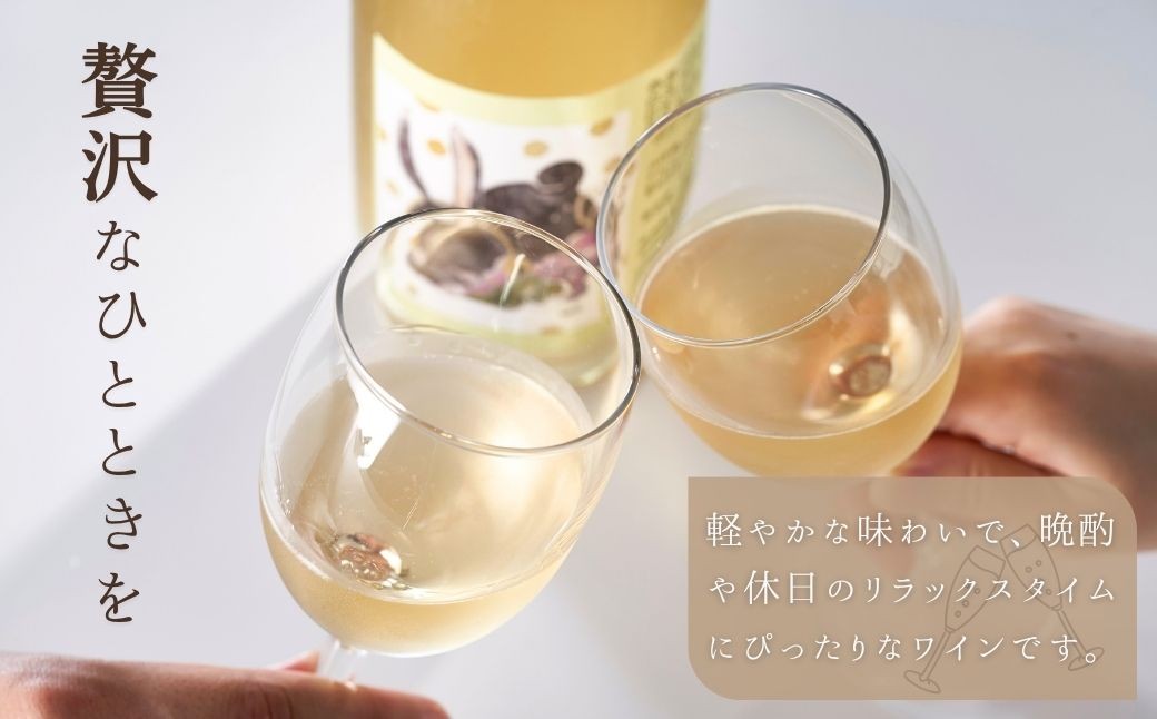 新潟産弥彦ブリューイング白泡2024年(果実酒:発泡性)750ml