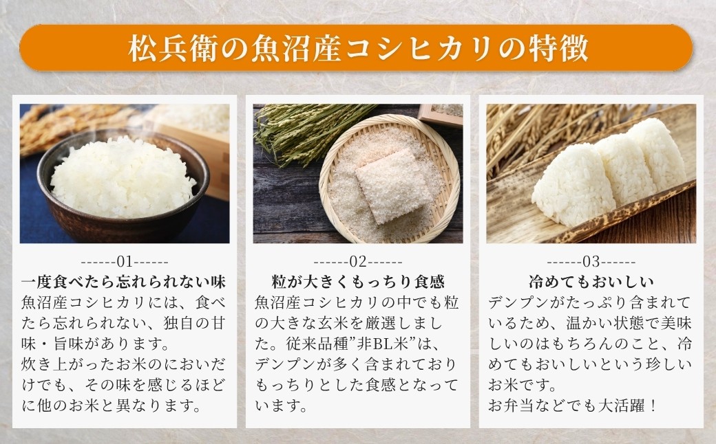 農薬不使用・化学肥料不使用の自然栽培　一度食べたら忘れられない