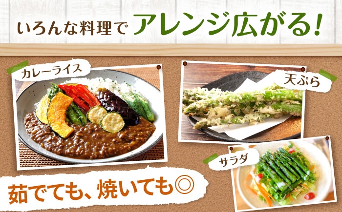 アスパラ グリーンアスパラ アスパラガス 北海道 春野菜 あすぱら あすぱらがす 野菜 季節の野菜 北海道産 道産 冷蔵