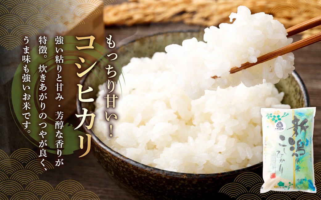 【令和7年産米】新潟県村上市岩船産「コシヒカリ」5㎏と「こしいぶき」5㎏の食べ比べセット（神林産地）合計10kg　B4084