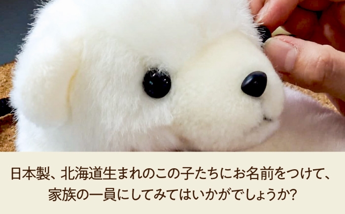 動物園 自由研究 工作 ハンドメイド 体験 おうち時間 プレゼント ギフト 手芸