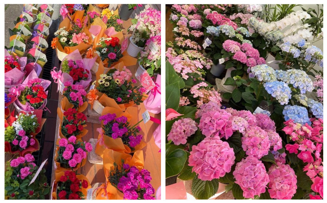 母の日 フラワーアレンジメント｜ 花 お花 生花 フラワーギフト カーネーション ガーベラ かすみ草 レースフラワー