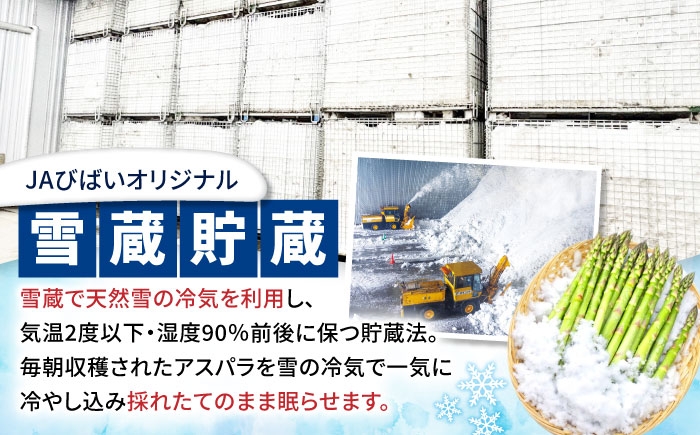 アスパラ グリーンアスパラ アスパラガス 北海道 春野菜 あすぱら あすぱらがす 野菜 季節の野菜 北海道産 道産 冷蔵