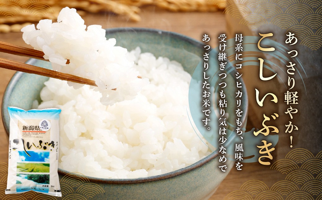 【令和7年産米】新潟県村上市岩船産「コシヒカリ」5㎏と「こしいぶき」5㎏の食べ比べセット（神林産地）合計10kg　B4084