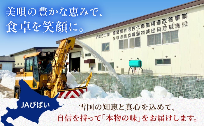 アスパラ グリーンアスパラ アスパラガス 北海道 春野菜 あすぱら あすぱらがす 野菜 季節の野菜 北海道産 道産 冷蔵