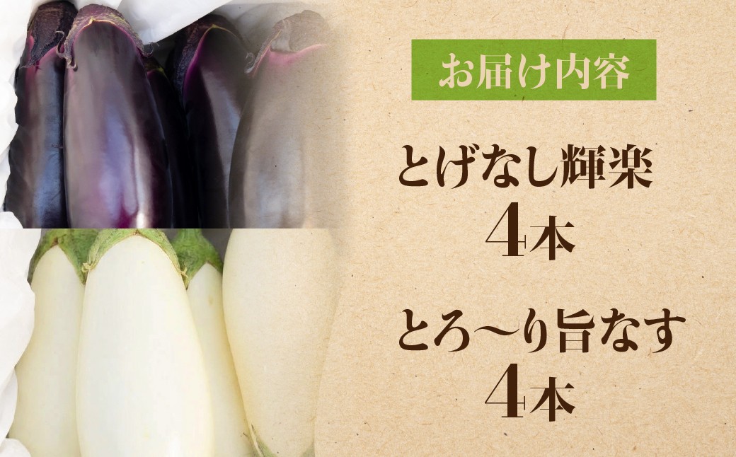 甘味が強くツヤハリの良いとげなし輝楽と、とろ～り甘い。純白のなすのセット