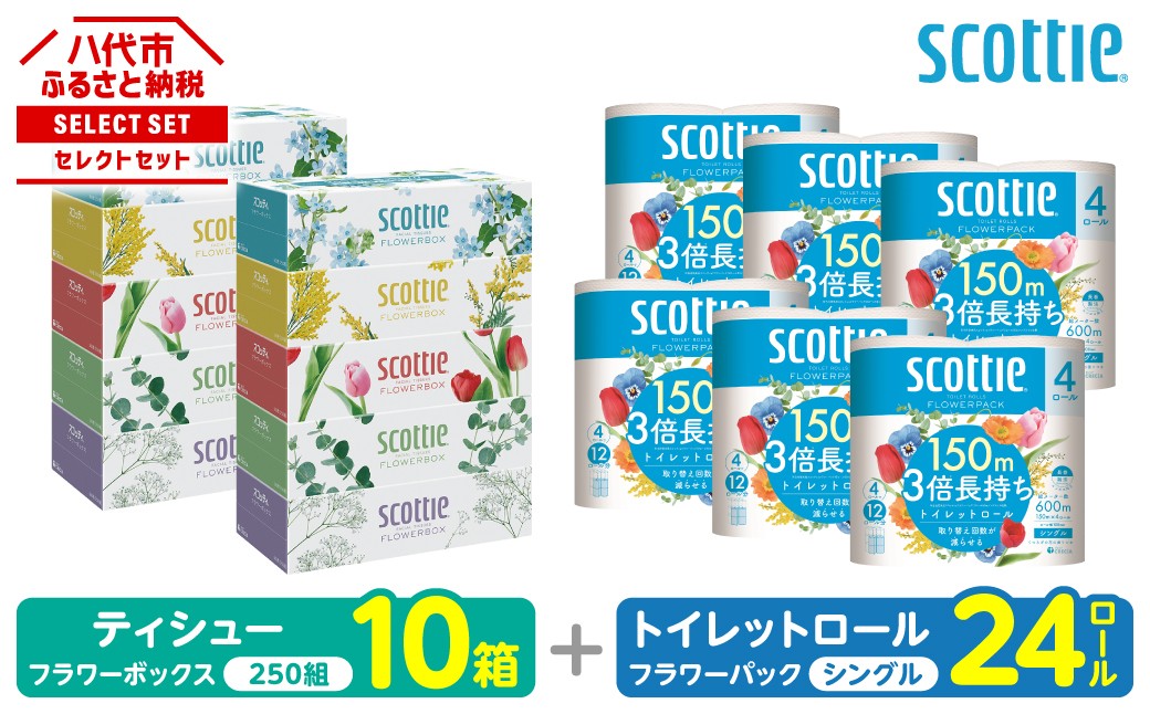 「長持ち」＆「コンパクト」になったスコッティ製品をセットにしてお届け！