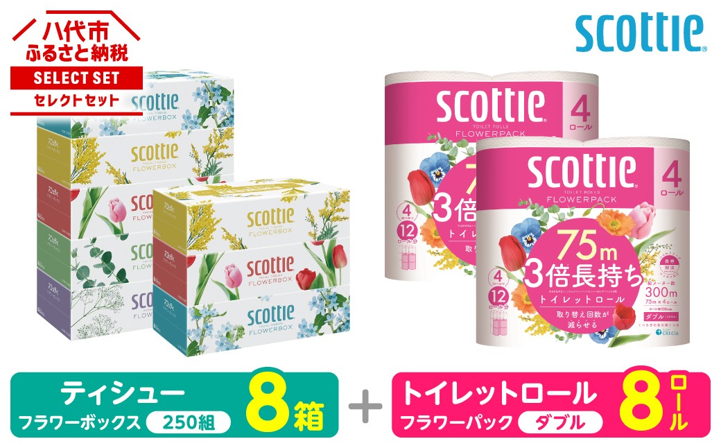 「長持ち」＆「コンパクト」になったスコッティ製品をセットにしてお届け！