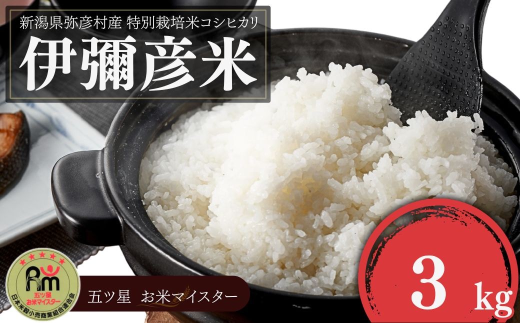 ＜お試し＞令和7年産 特別栽培米コシヒカリ「伊彌彦米」精米 3kg