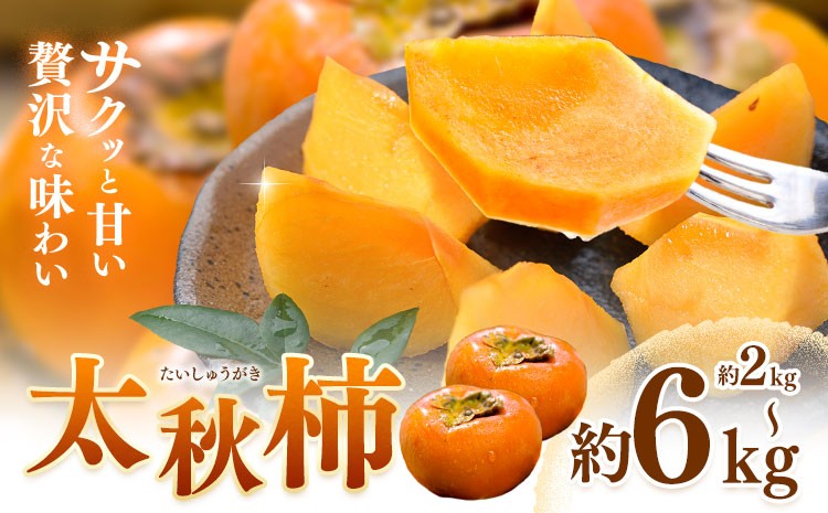 【2023年10月上旬より順次発送予定】富有柿 約5kg(3L～Ｍサイズ)