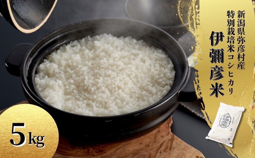 米 5kg 新潟 コシヒカリ 令和7年産 特別栽培米 伊彌彦米 (5kg×1)