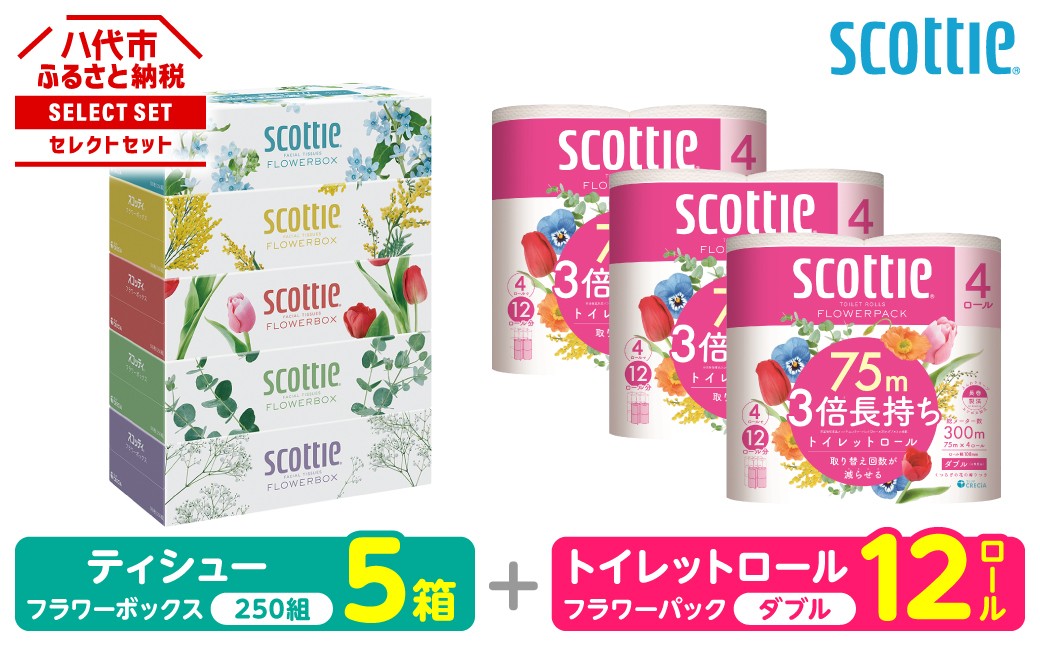 「長持ち」＆「コンパクト」になったスコッティ製品をセットにしてお届け！