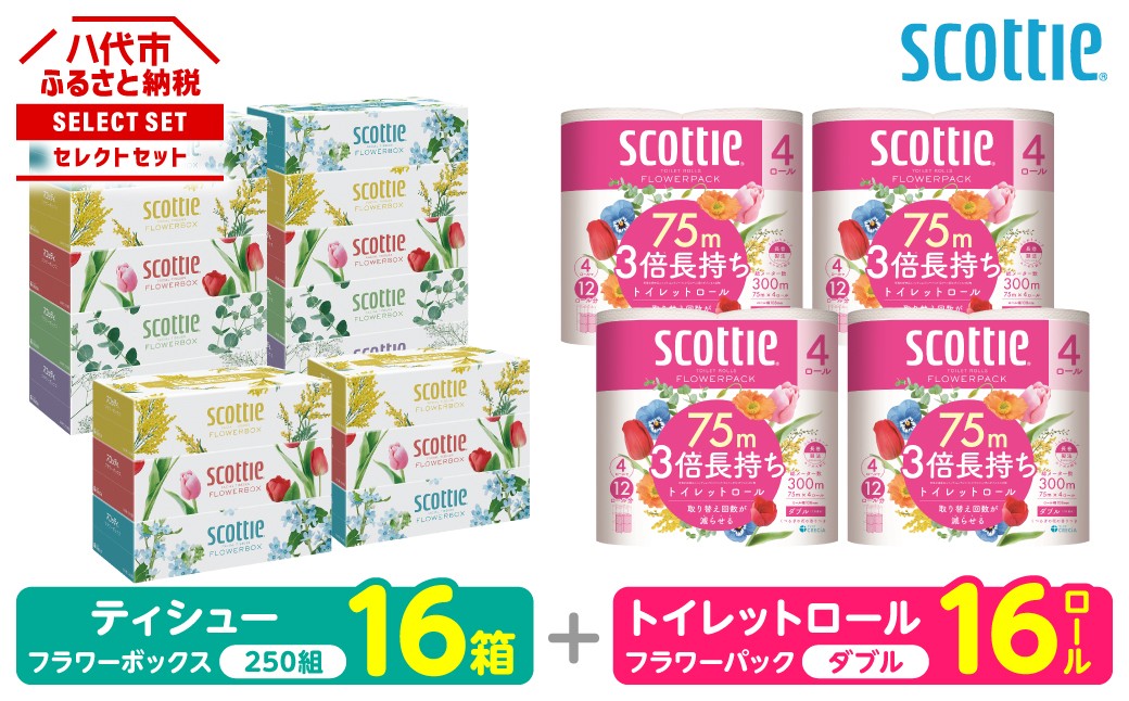 「長持ち」＆「コンパクト」になったスコッティ製品をセットにしてお届け！
