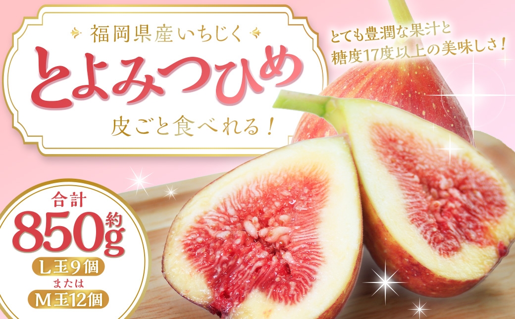 皮ごと食べれる！とよみつひめ 850g前後