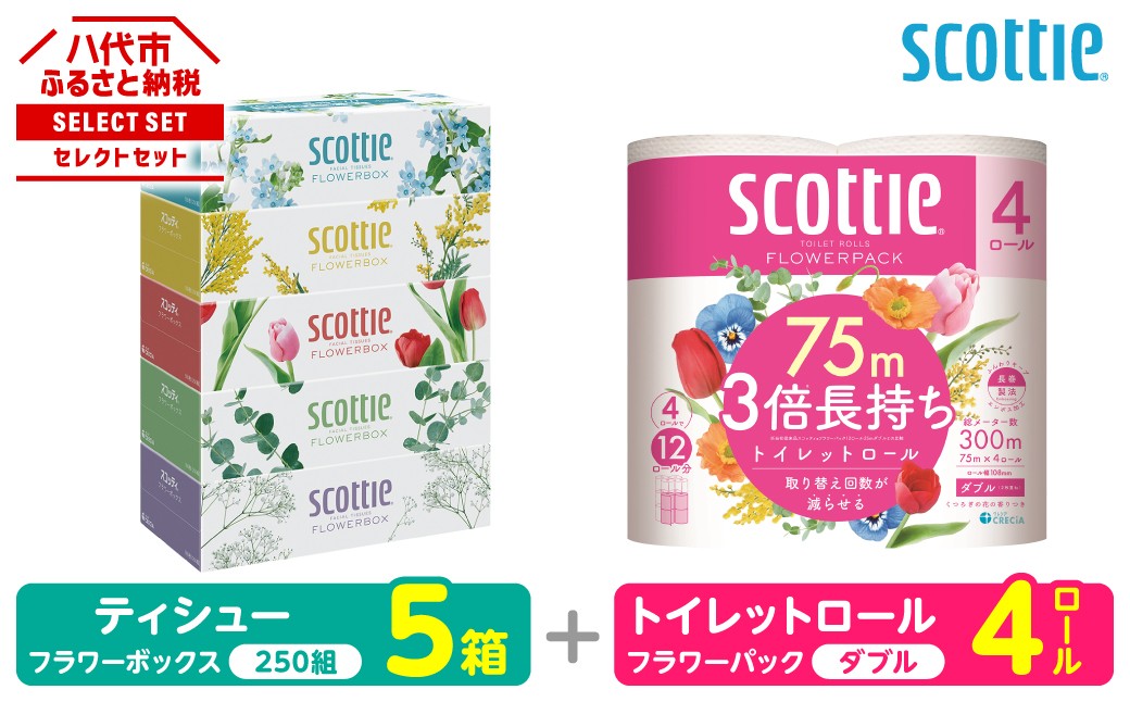 【スコッティ】ティシュー フラワーボックス 250組 5箱 トイレットロール ダブル フラワーパック 3倍長持ち 4ロール