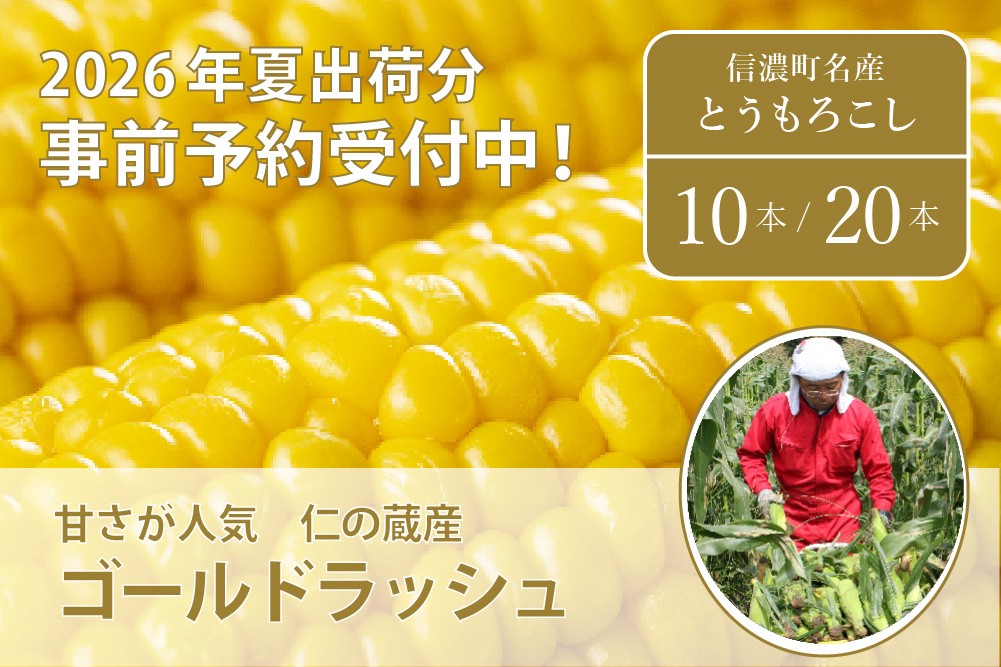 トウモロコシの名産地、信濃町で栽培されたトウモロコシ【ゴールドラッシュ】を10本お届けします。