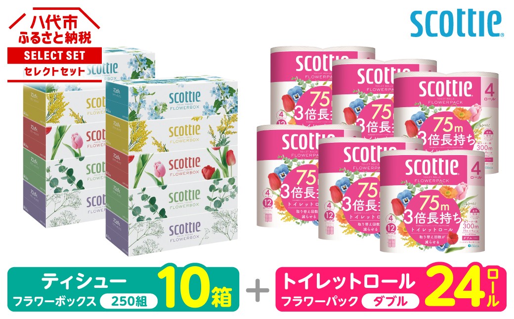 「長持ち」＆「コンパクト」になったスコッティ製品をセットにしてお届け！