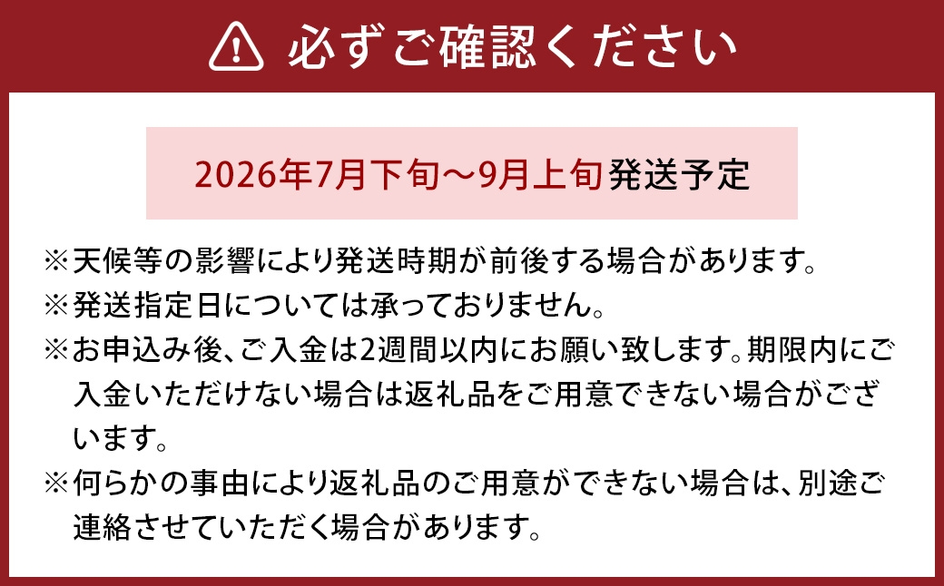 皮ごと食べれる！とよみつひめ 850g前後