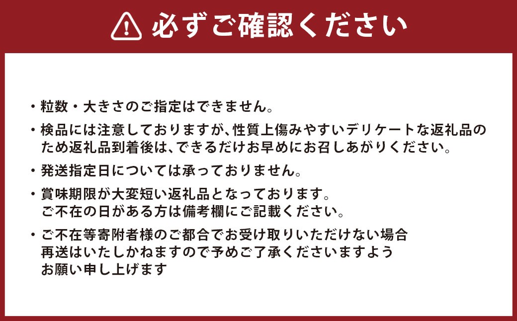 長崎市産びわ 1kg 24個入