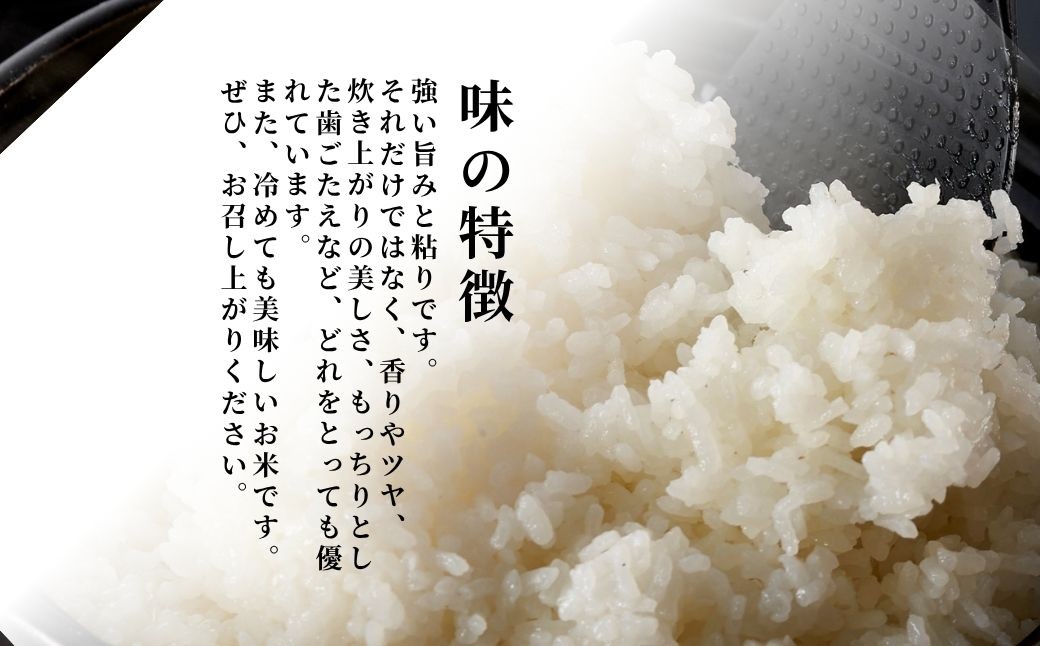 米 30kg 新潟 コシヒカリ 令和7年産 特別栽培米 伊彌彦米 30kg(5kg×6袋) 
