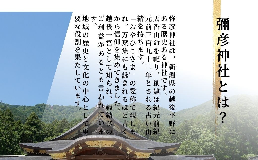米 30kg 新潟 コシヒカリ 令和7年産 特別栽培米 伊彌彦米 30kg(5kg×6袋) 