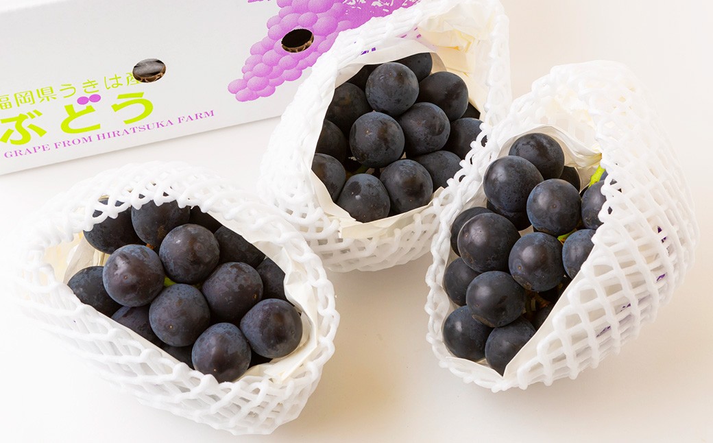 ピオーネ 4～5房（約2kg）