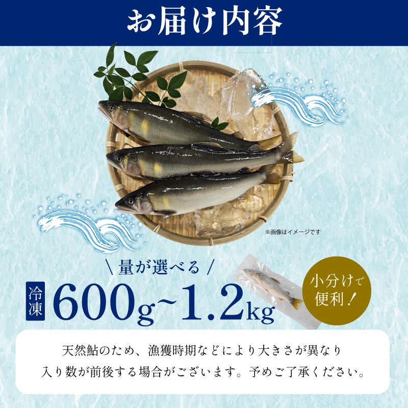 期間限定で600g、1.2kgからお選びいただけます！