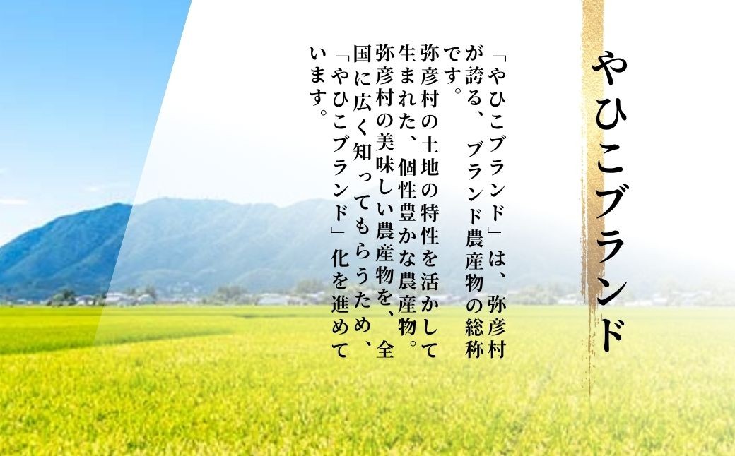 ＜お試し＞令和7年産 特別栽培米コシヒカリ「伊彌彦米」精米 3kg
