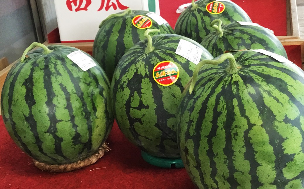 【地元民が愛する幻のすいか】 長浦すいか （L玉以上／6kg～）