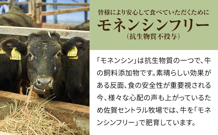 期間限定！ふんわりふんわりとろけるロールステーキを毎日のご褒美に！