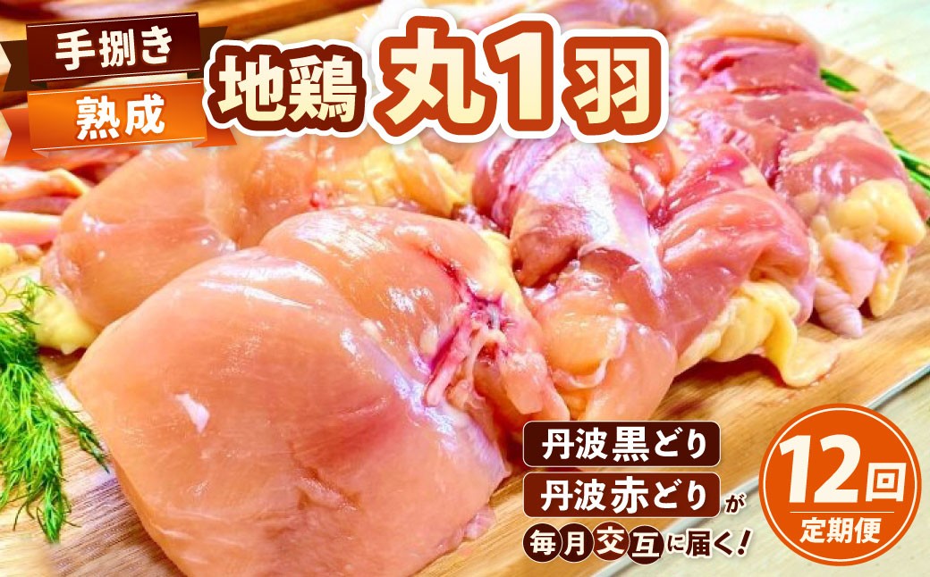 【緊急支援品】【定期便】[京都亀岡丹波山本]亀岡生まれ『地鶏丹波黒どり・丹波赤どり』丸１羽手捌き全12回１年間毎月交互にお届け