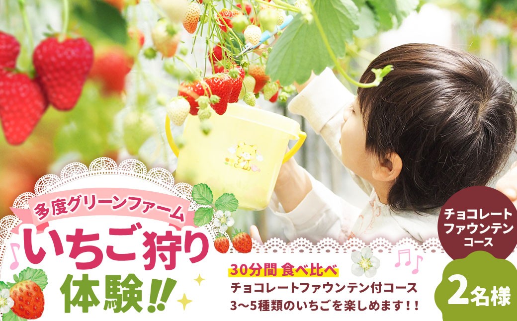 多度グリーンファーム いちご狩り体験 2名様