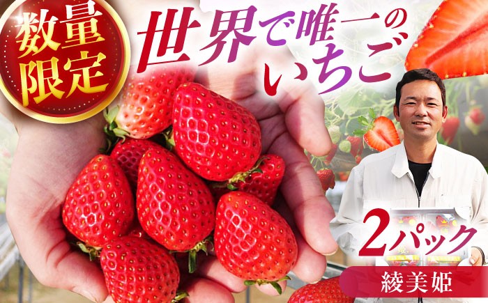 いちご イチゴ 苺 果物 フルーツ