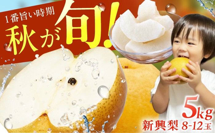 梨 なし 新興 果物 フルーツ