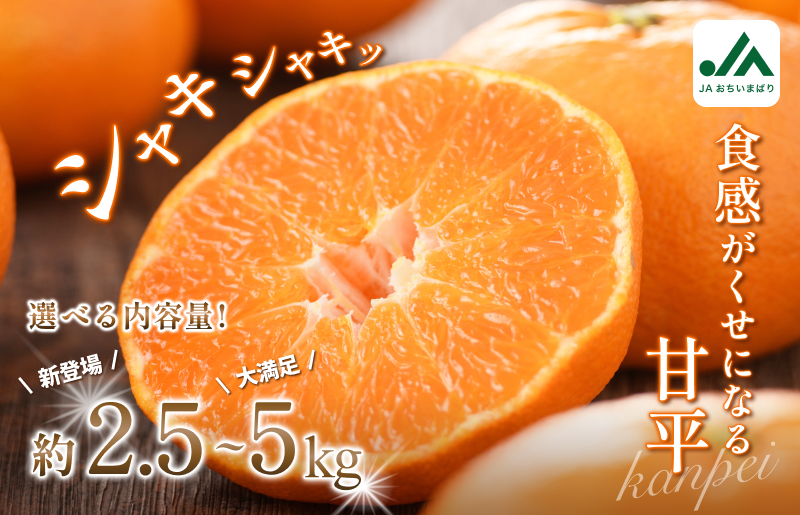 しゃきっとした独特な食感と濃厚な食味が特徴