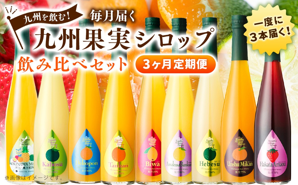 【3ヶ月定期便】九州を飲む！毎月届く九州果実シロップ飲み比べセット