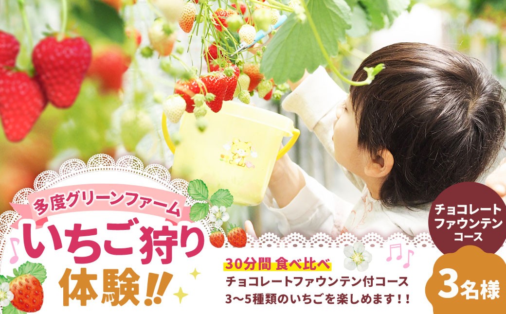 多度グリーンファーム いちご狩り体験 3名様