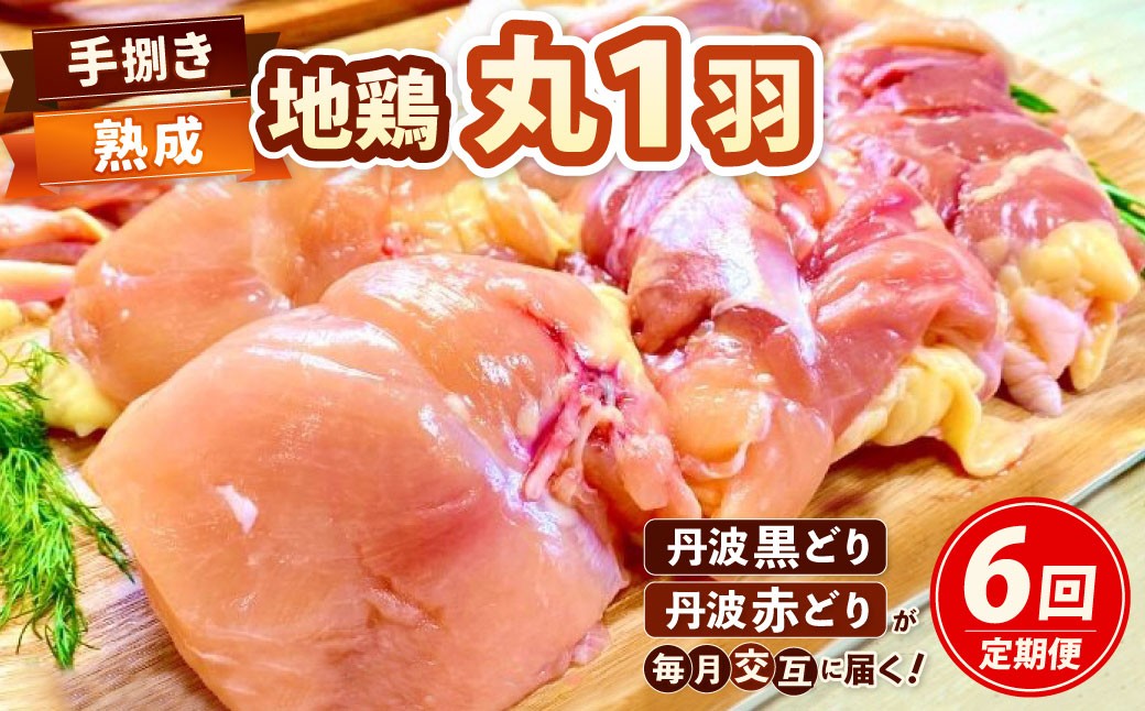 【緊急支援品】【定期便】[京都亀岡丹波山本]亀岡生まれ『地鶏丹波黒どり・丹波赤どり』丸１羽手捌き全6回毎月交互にお届け