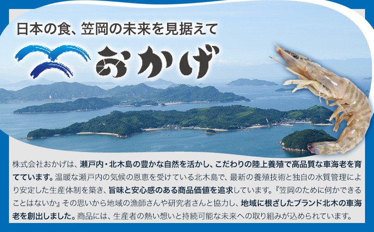 ラフィアブレードソフトハットセーラ