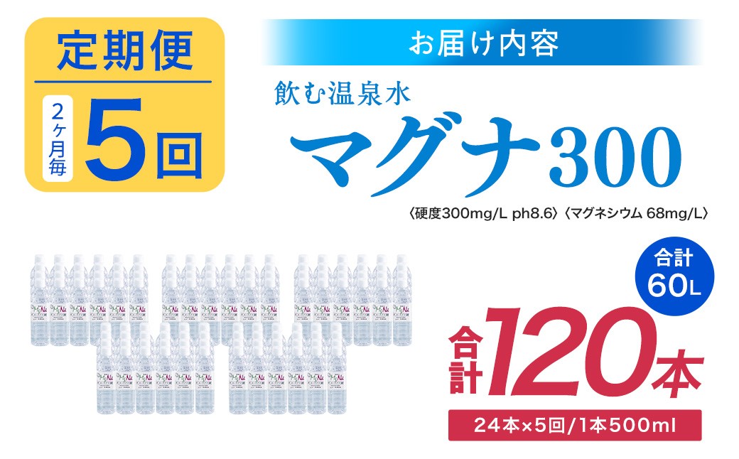 【2ヶ月毎5回定期便】 硬水ミネラルウォーターマグナ300 500ml 計120本 （24本×5回）